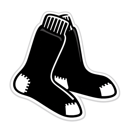 BLACKSOCKS logo